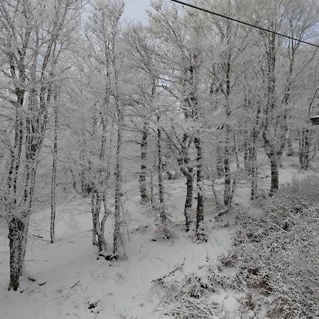 Apartmán Emma Equipe Et Refait A Neuf Dans 3 Etoiles