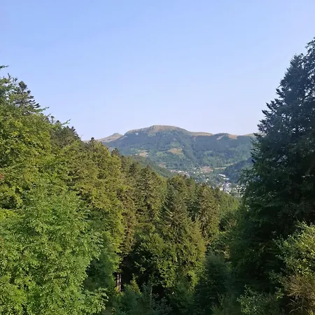 Emma Equipe Et Refait A Neuf Dans 3 Etoiles Apartmán Besse-et-Saint-Anastaise