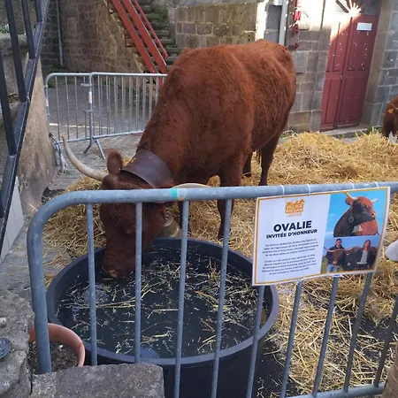 Emma Equipe Et Refait A Neuf Dans 3 Etoiles * Besse-et-Saint-Anastaise