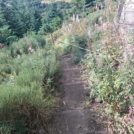 Emma Equipe Et Refait A Neuf Dans 3 Etoiles Apartmán Besse-et-Saint-Anastaise