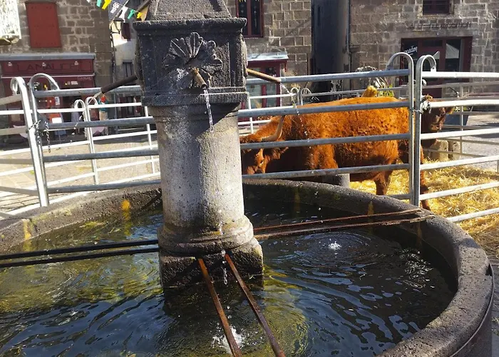 Appartement Emma équipé Et Refait A Neuf Dans Résidence 3 étoiles *