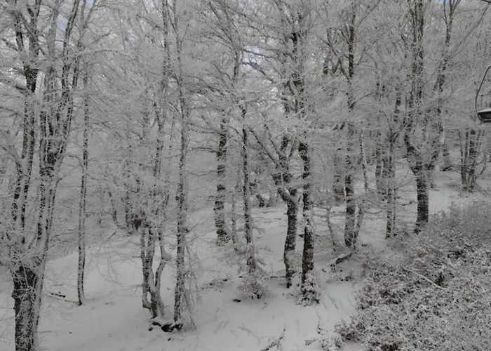 Appartement Emma équipé Et Refait A Neuf Dans Résidence 3 étoiles