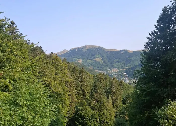 Emma équipé Et Refait A Neuf Dans Résidence 3 étoiles Appartement Besse-et-Saint-Anastaise