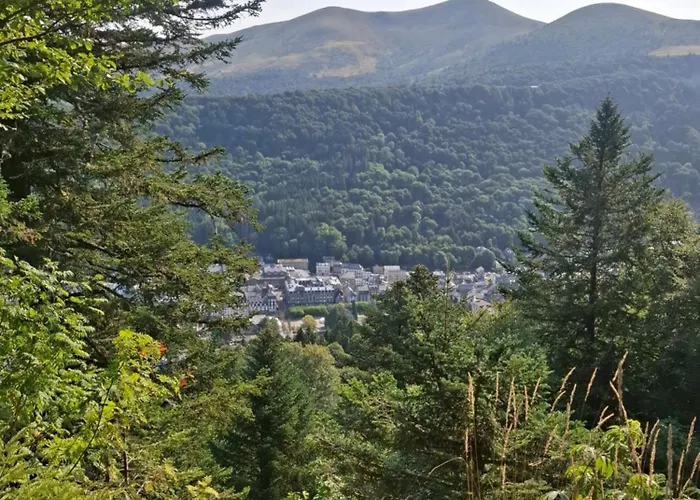Appartement Emma équipé Et Refait A Neuf Dans Résidence 3 étoiles