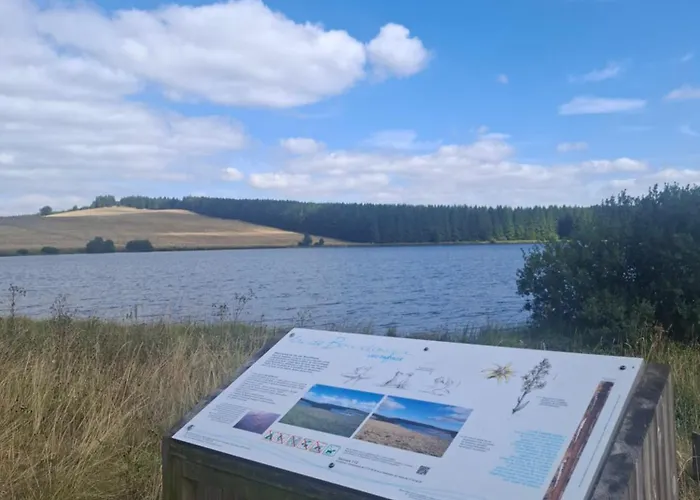 Emma équipé Et Refait A Neuf Dans Résidence 3 étoiles Appartement *